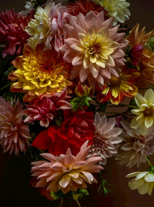 Dahlia Share- Five Weeks of Flowers 2025, Pick Up
