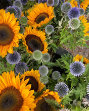 Load image into Gallery viewer, 2026 TWELVE WEEKS OF FLOWERS PICK UP ONLY (At our farm or in Kinderhook)