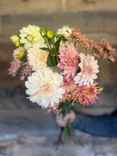 Load image into Gallery viewer, DAHLIAS, FOUR Weeks of Flowers 2026 Pick Up Only