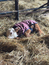 Load image into Gallery viewer, DAHLIAS, FOUR Weeks of Flowers 2026 Pick Up Only