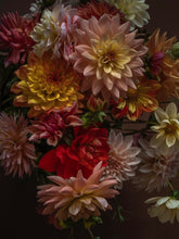 Load image into Gallery viewer, DAHLIAS, FOUR Weeks of Flowers 2026 Pick Up Only
