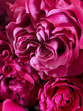 Load image into Gallery viewer, Sweet On You - Pick Up, Thursday, Feb 13 at Kinderhook Books - Choose 12 roses or an Even Bigger Bouquet