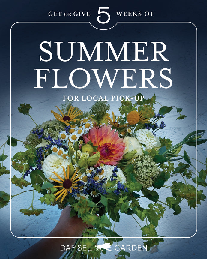2024 Five Summer Bouquets • You Choose Your Weeks and Pick Up Location