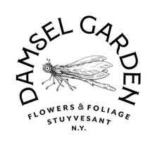 Load image into Gallery viewer, Damsel Garden Gift Card, $25, $50 and $100. Scroll to choose the denomination you&#39;d like to give.